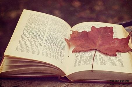 一條線，讓你近距離了福建成人高考