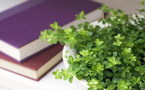 復習成人高考 在職人士