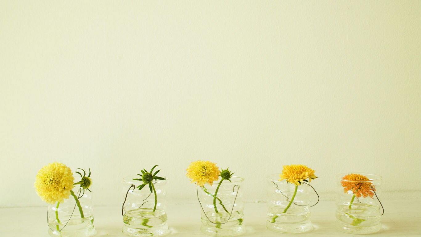 寧德成人高考學習方式