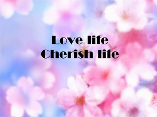 福建成人高考技校畢業(yè)可以考嗎?