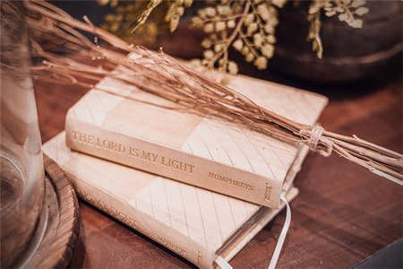 福建成考還是自考該如何選擇