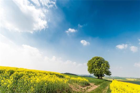 福建成人高考歷史備考技巧