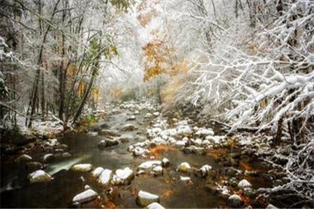 福建成人高考有哪些優(yōu)勢